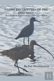 Close Encounters Of The Bird Kind