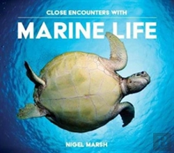 Bertrand.pt - Close Encounters With Marine Life