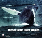 Closer To The Great Whales