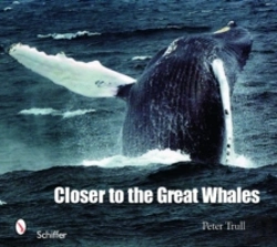 Bertrand.pt - Closer To The Great Whales