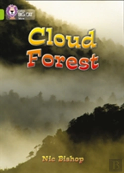 Bertrand.pt - Cloud Forestband 11/Lime