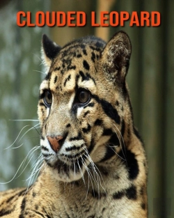 Bertrand.pt - Clouded Leopard