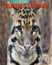 Clouded Leopard