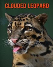 Clouded Leopard