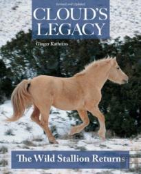 Cloud'S Legacy