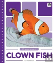 Clown Fish