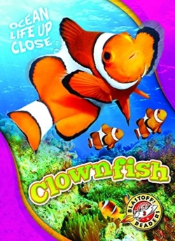 Bertrand.pt - Clownfish