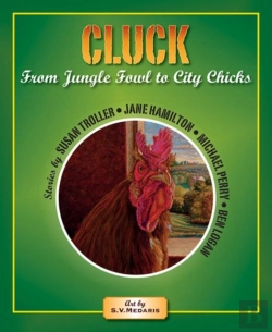 Bertrand.pt - Cluck