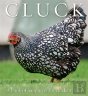 Cluck