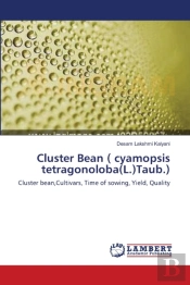 Cluster Bean   Cyamopsis Tetragonoloba L