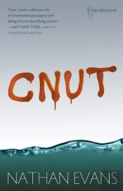 Cnut