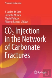 Co2 Injection In The Network Of Carbonate Fractures