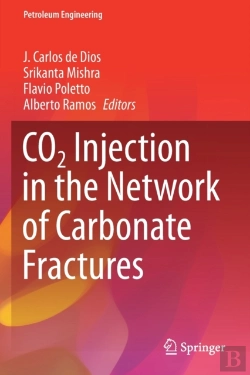 Bertrand.pt - Co2 Injection In The Network Of Carbonate Fractures