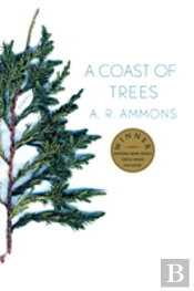 Coast Of Trees