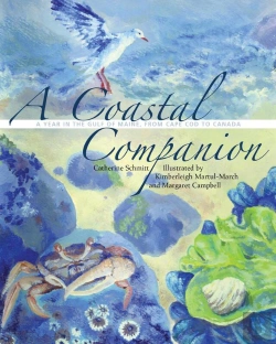 Bertrand.pt - Coastal Companion