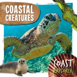 Bertrand.pt - Coastal Creatures