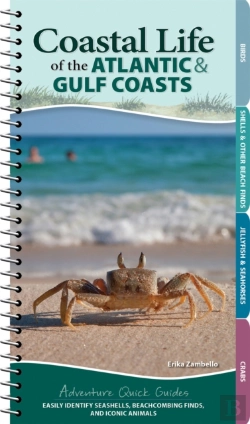 Bertrand.pt - Coastal Life Of The Atlantic And Gulf Coasts
