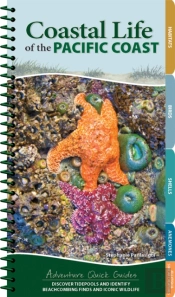 Coastal Life Of The Pacific Coast