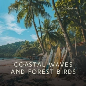 Coastal Waves And Forest Birds