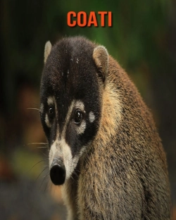 Bertrand.pt - Coati