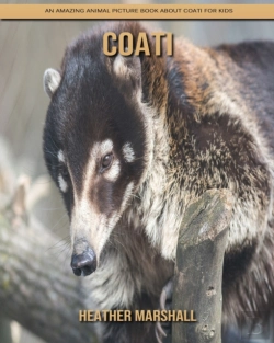 Bertrand.pt - Coati