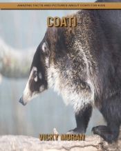 Coati
