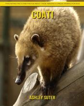 Coati