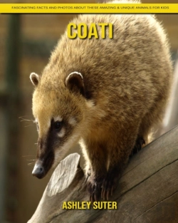 Bertrand.pt - Coati