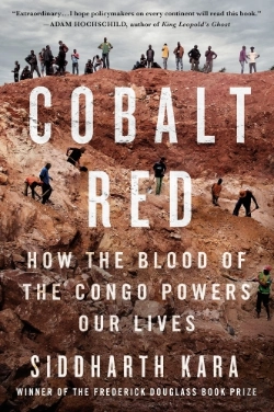 Bertrand.pt - Cobalt Red