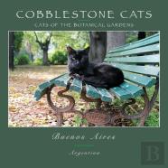 Cobblestone Cats - Ba