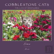 Cobblestone Cats - Mf