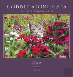 Bertrand.pt - Cobblestone Cats - Mf