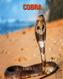 Bertrand.pt - Cobra