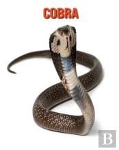 Cobra