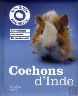 Bertrand.pt - Cochons D'Inde