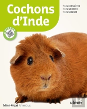 Cochons D'Inde