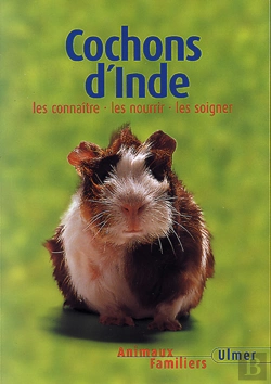 Bertrand.pt - Cochons D'Inde ; Nouvelle Edition