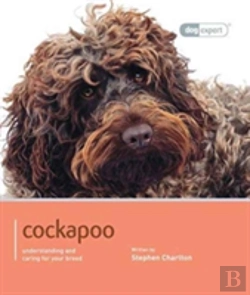 Bertrand.pt - Cockapoo - Dog Expert