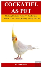 Cockatiel As Pet