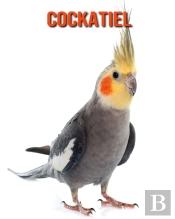 Cockatiel