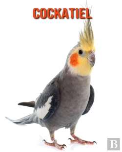Bertrand.pt - Cockatiel