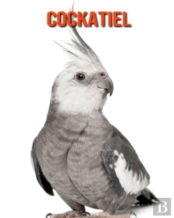 Bertrand.pt - Cockatiel