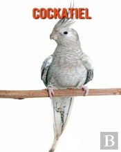 Cockatiel