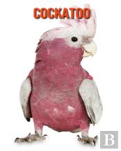 Cockatoo