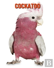 Cockatoo