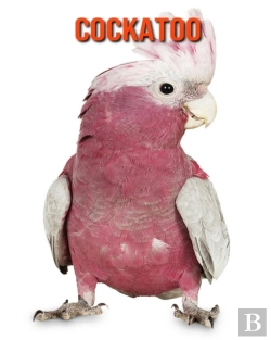 Bertrand.pt - Cockatoo