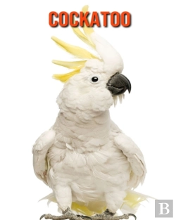 Bertrand.pt - Cockatoo