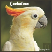 Cockatoos 2022 Calendar
