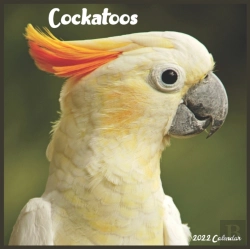 Bertrand.pt - Cockatoos 2022 Calendar