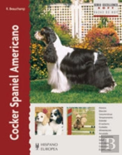 Cocker Spaniel Americano